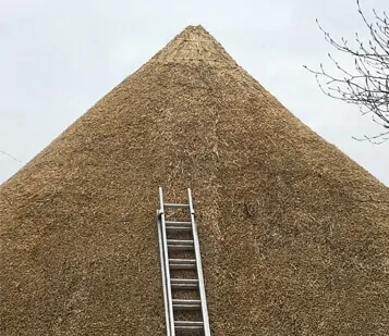 Thatched Roof Example